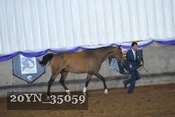 20YN_35059 proof