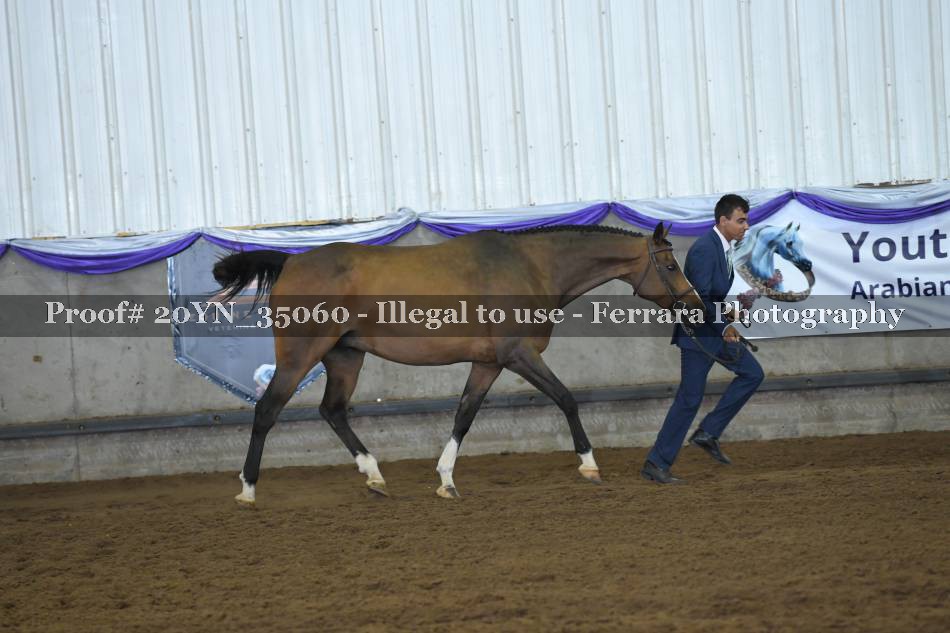 Proof 20YN_35060