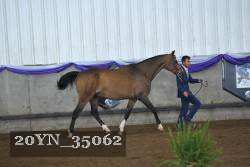 20YN_35062 proof