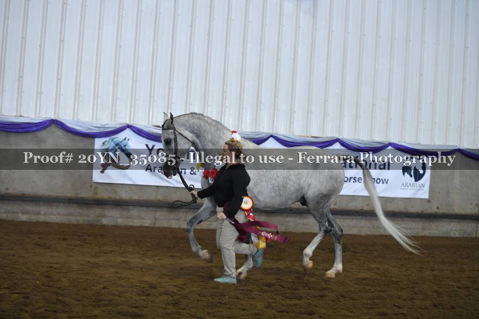 Proof 20YN_35085