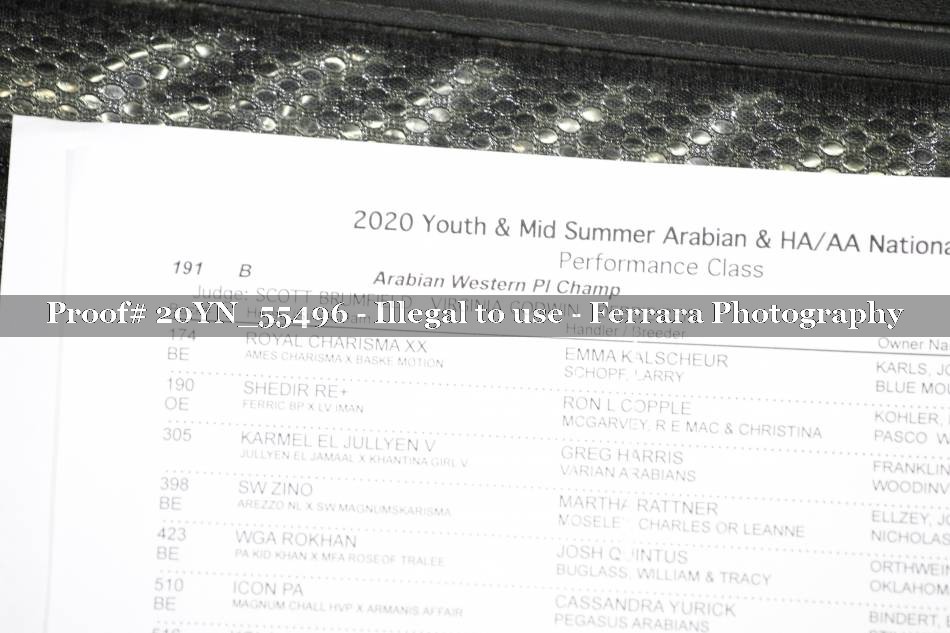 Proof 20YN_55496