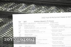 20YN_64064 proof