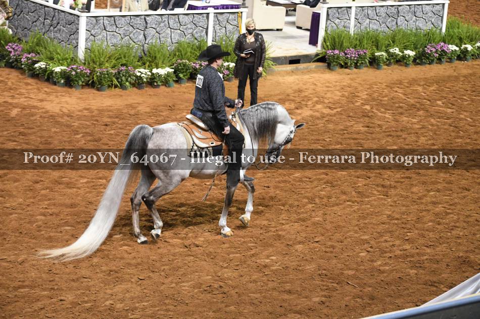 Proof 20YN_64067