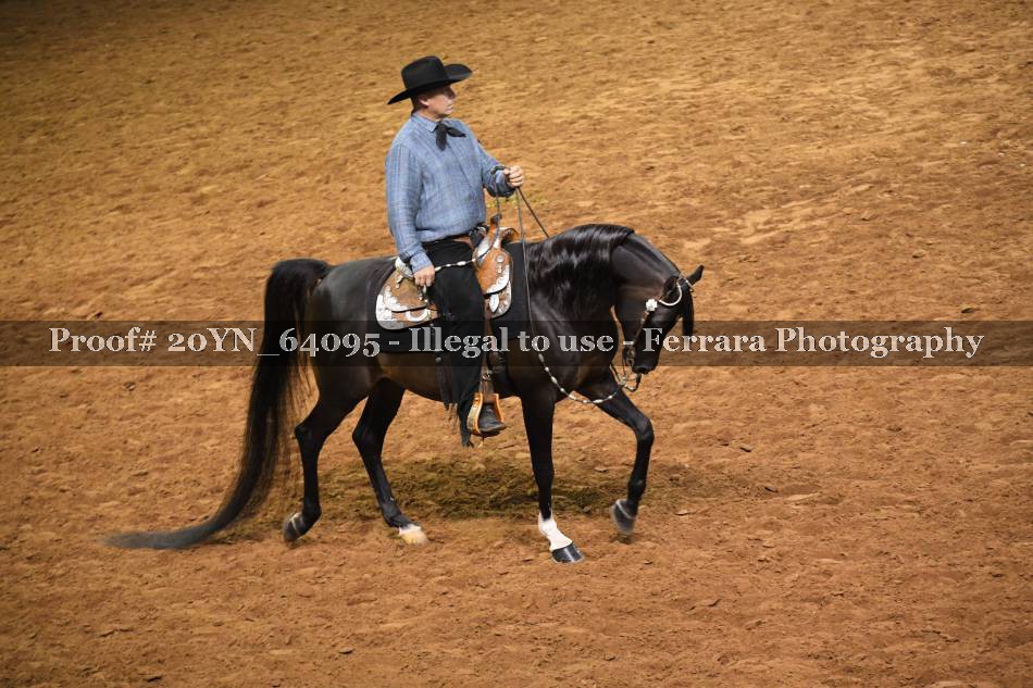 Proof 20YN_64095