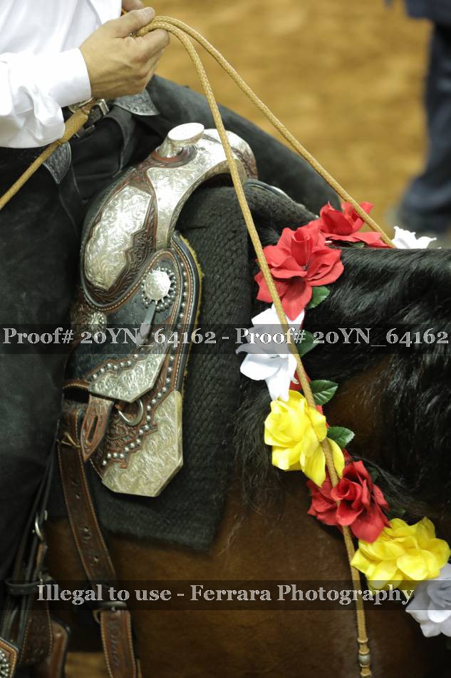 Proof 20YN_64162