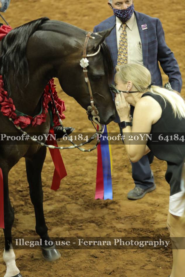 Proof 20YN_64184