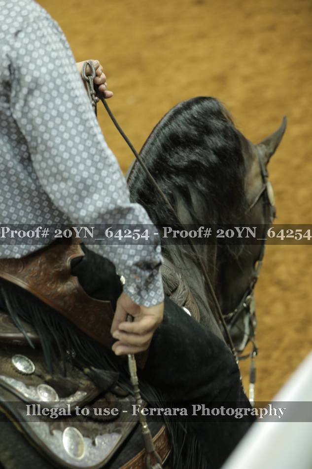 Proof 20YN_64254