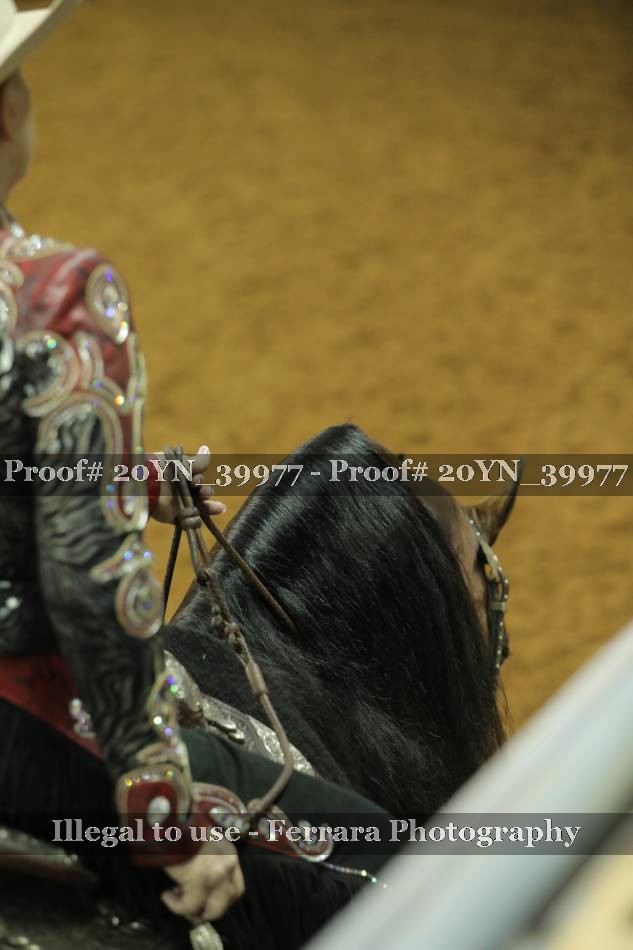 Proof 20YN_39977