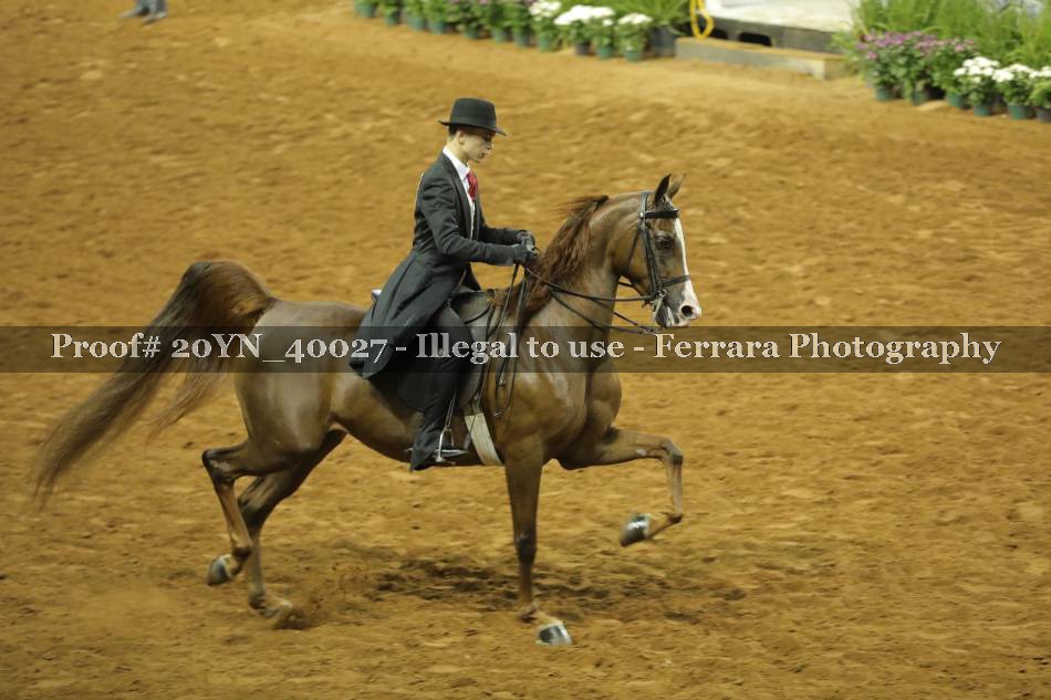 Proof 20YN_40027