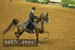 20YN_40027 proof