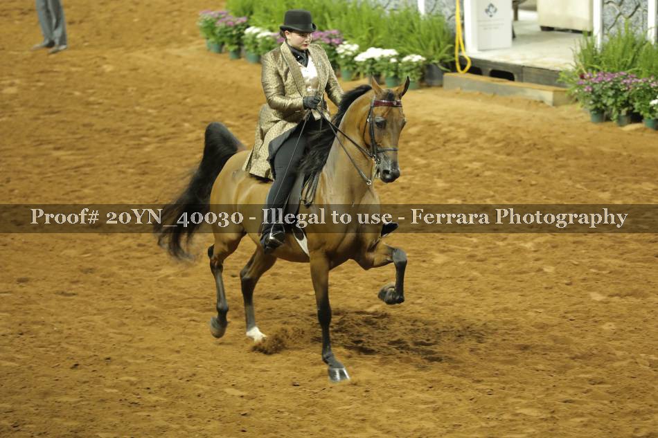 Proof 20YN_40030