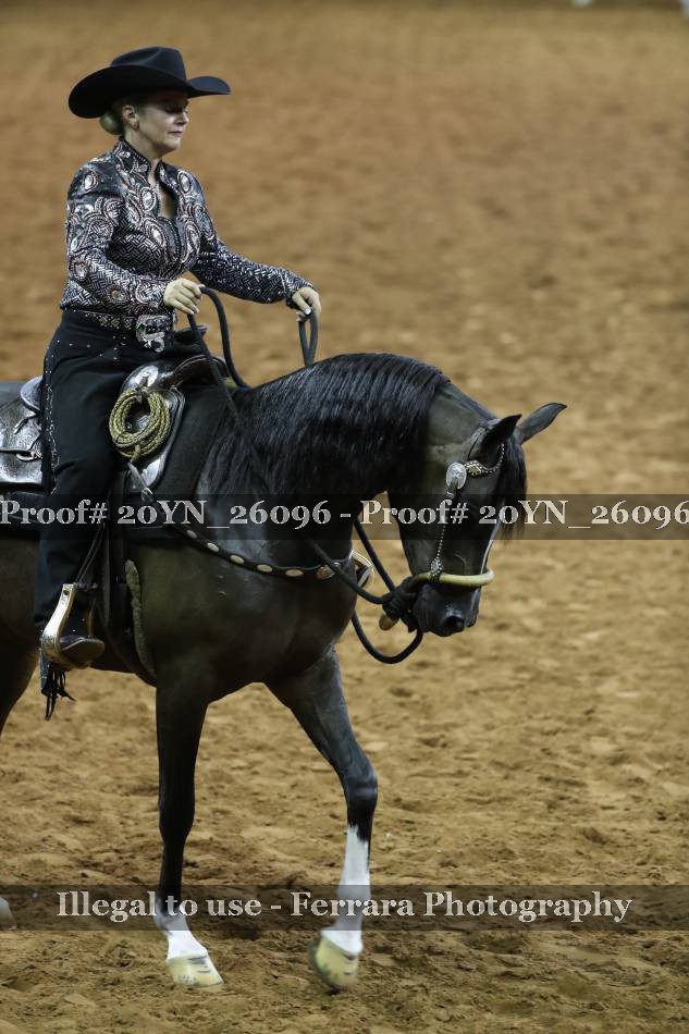 Proof 20YN_26096