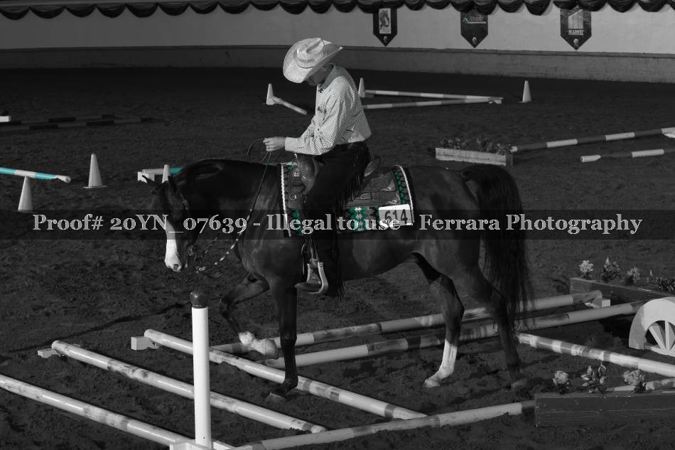 Proof 20YN_07639