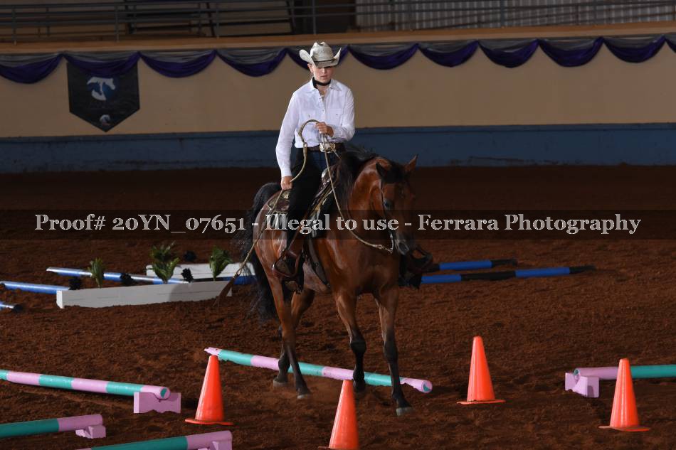Proof 20YN_07651