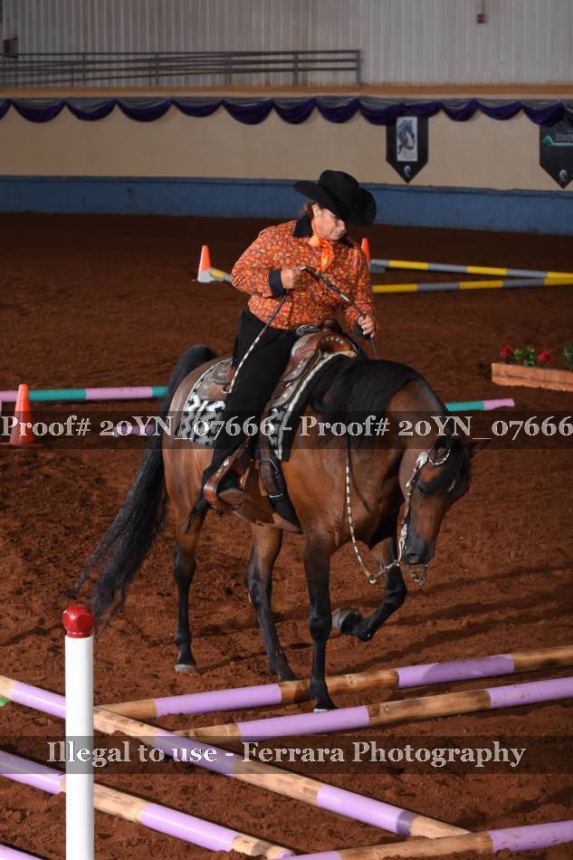 Proof 20YN_07666