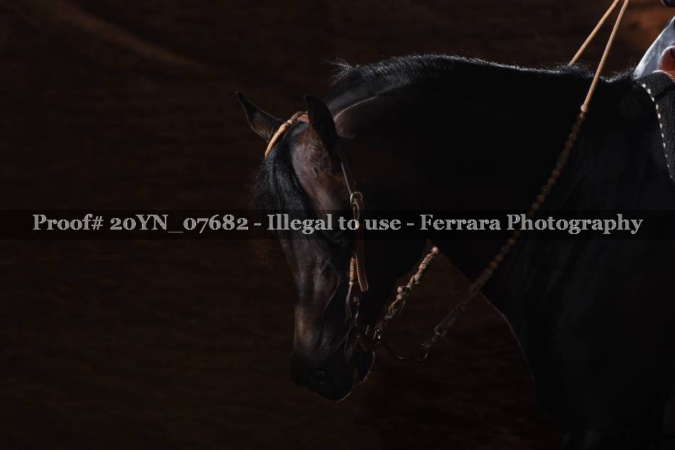 Proof 20YN_07682