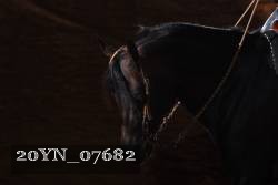 20YN_07682 proof