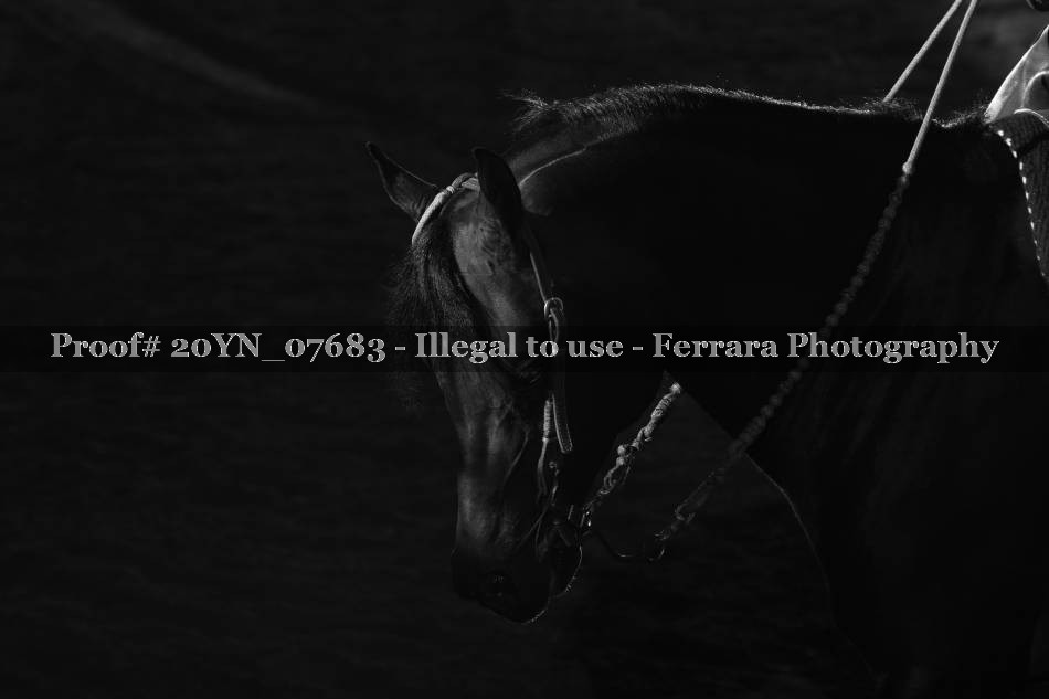 Proof 20YN_07683
