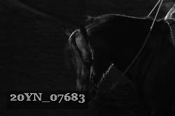20YN_07683 proof