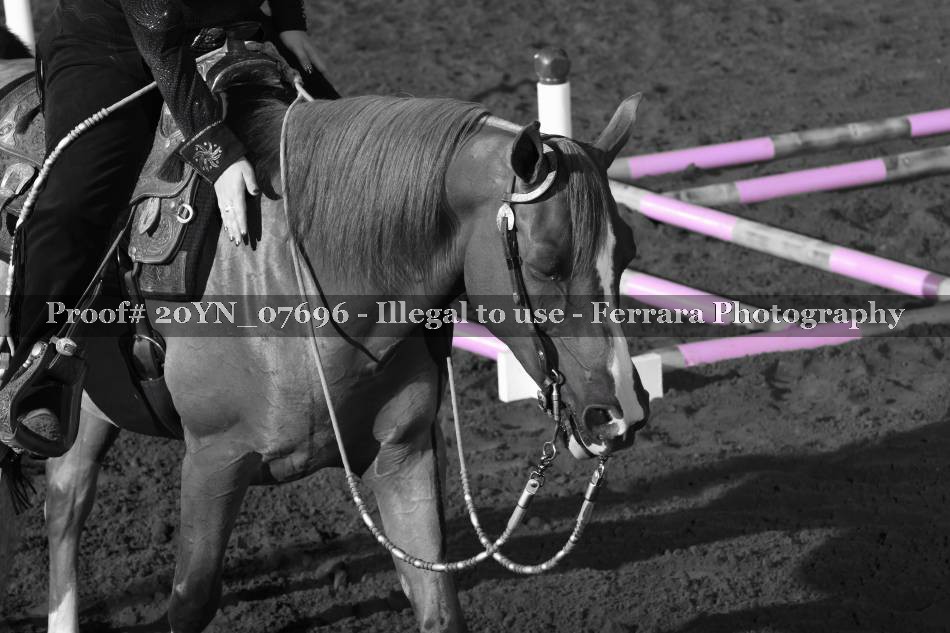 Proof 20YN_07696