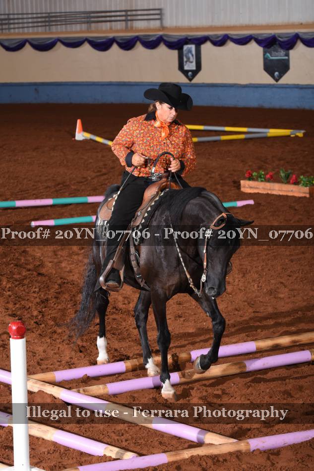 Proof 20YN_07706