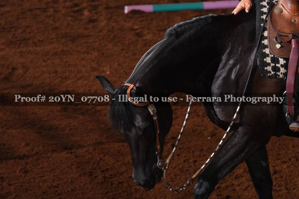 Proof 20YN_07708