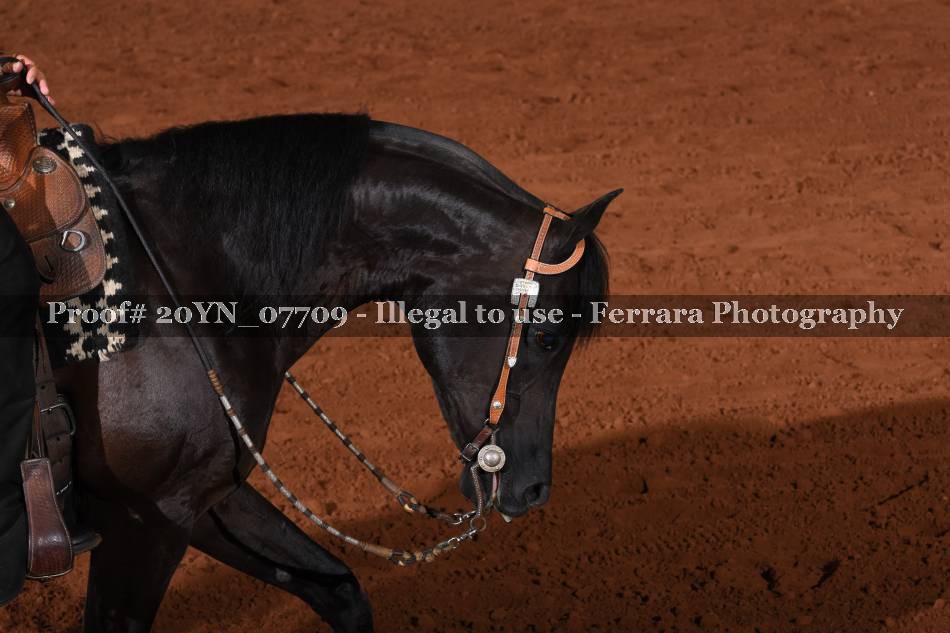 Proof 20YN_07709
