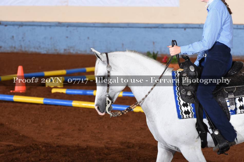 Proof 20YN_07717