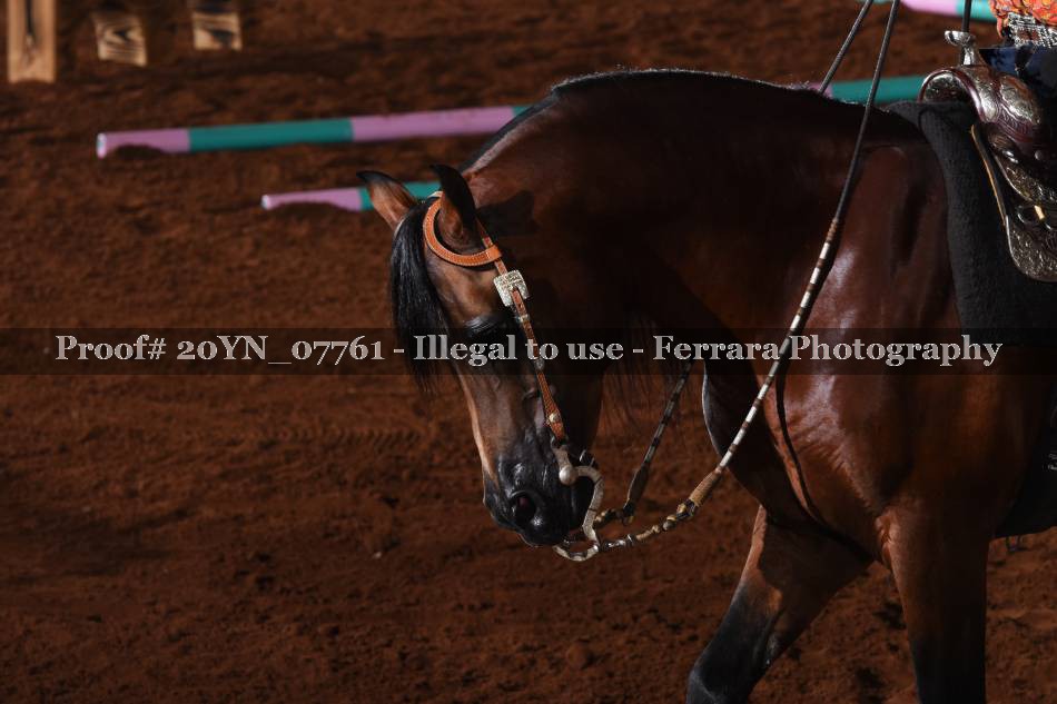 Proof 20YN_07761