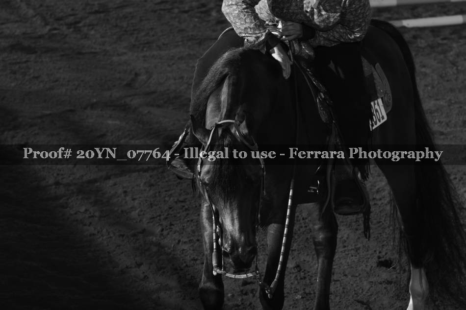 Proof 20YN_07764