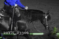 20YN_23306 proof