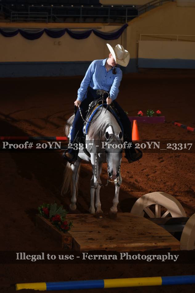 Proof 20YN_23317