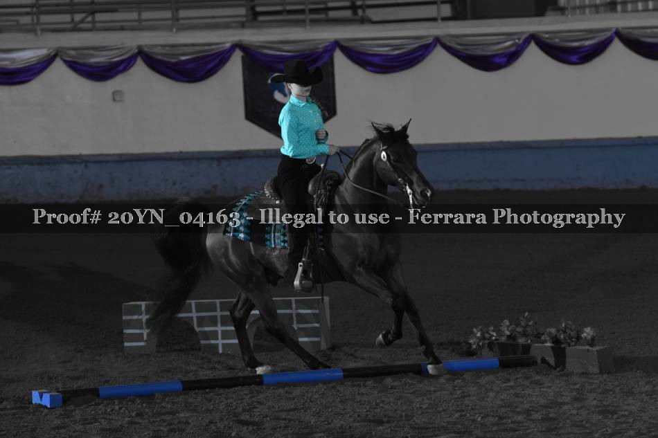 Proof 20YN_04163