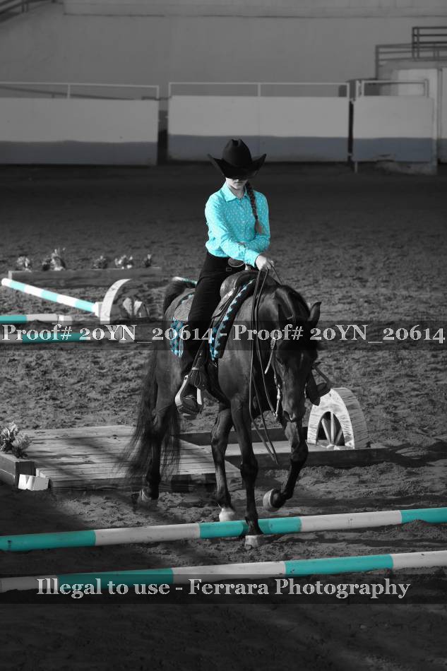 Proof 20YN_20614