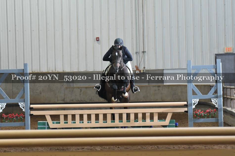 Proof 20YN_53020