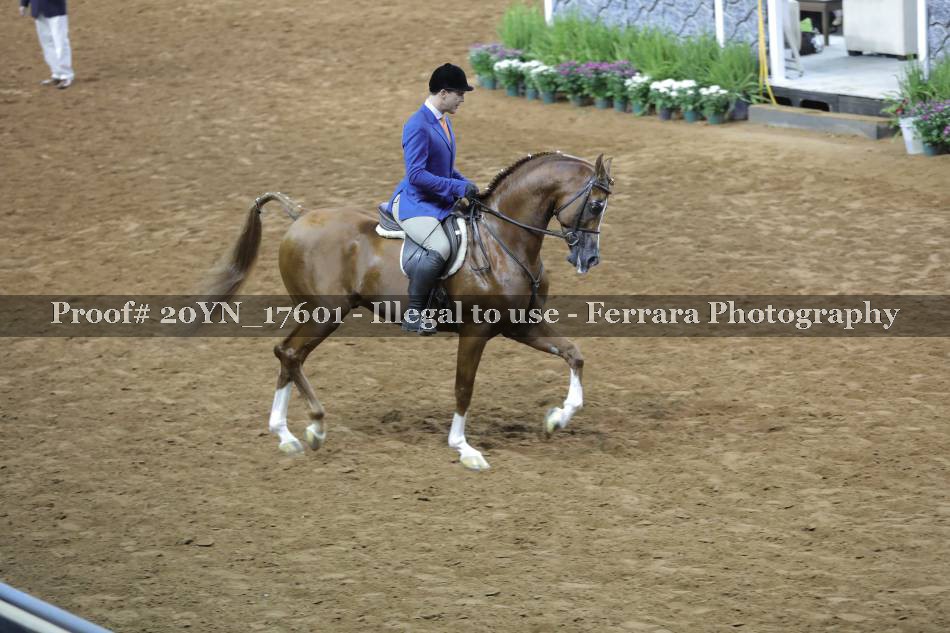 Proof 20YN_17601