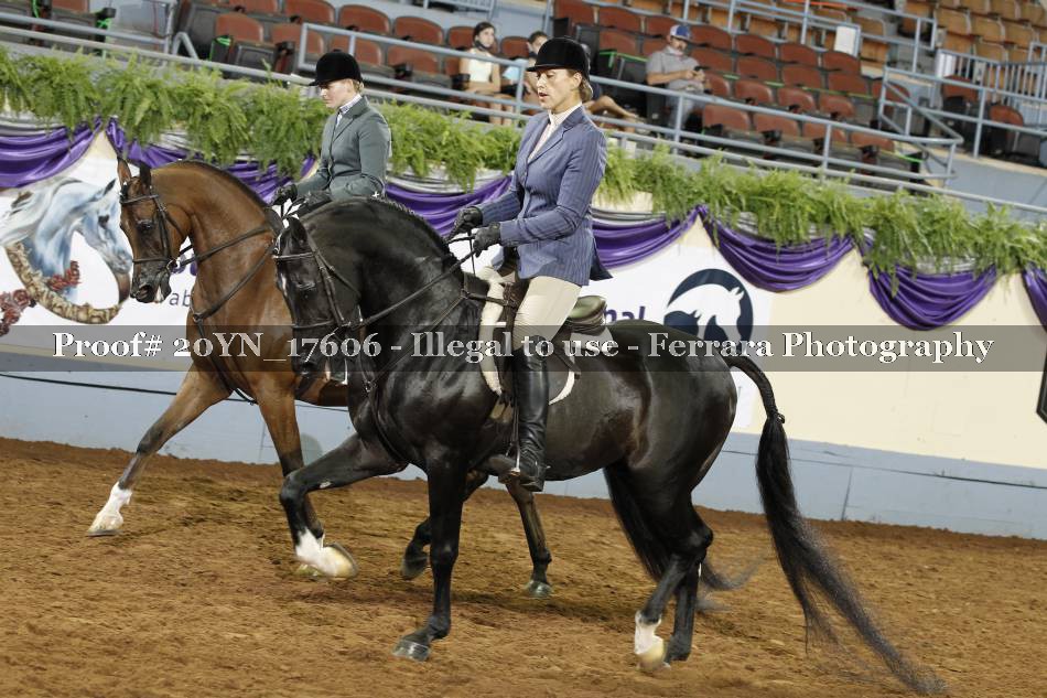 Proof 20YN_17606