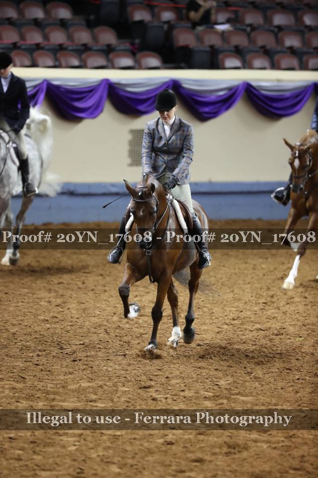 Proof 20YN_17608