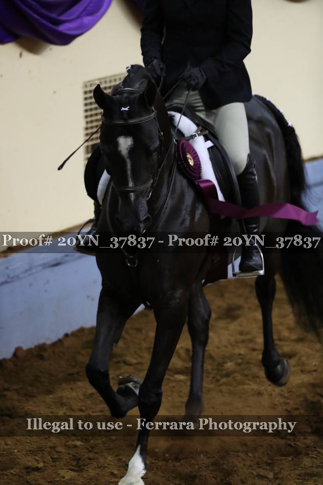Proof 20YN_37837