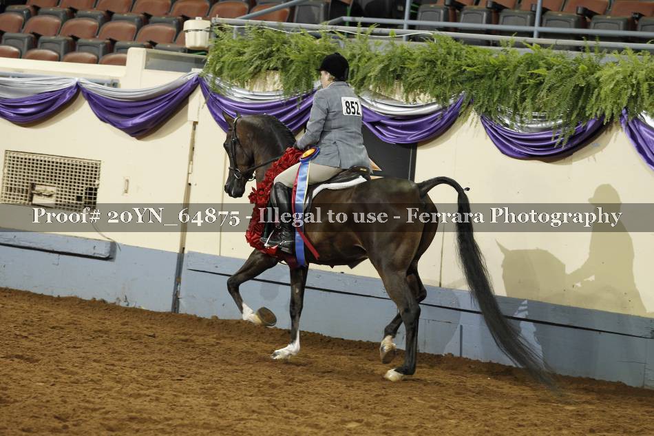 Proof 20YN_64875