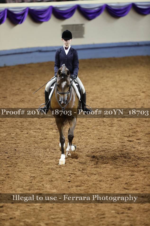 Proof 20YN_18703