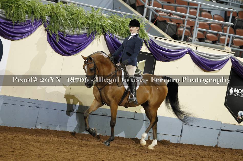 Proof 20YN_18706