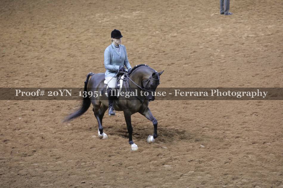 Proof 20YN_13951