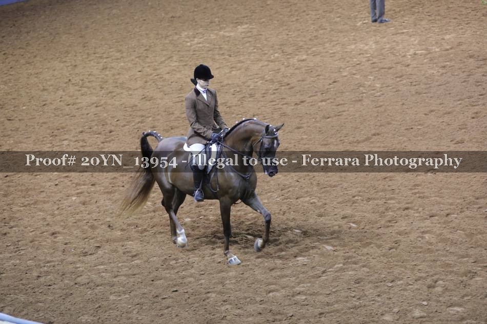 Proof 20YN_13954