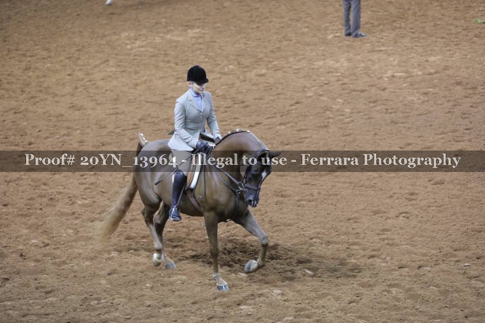 Proof 20YN_13964