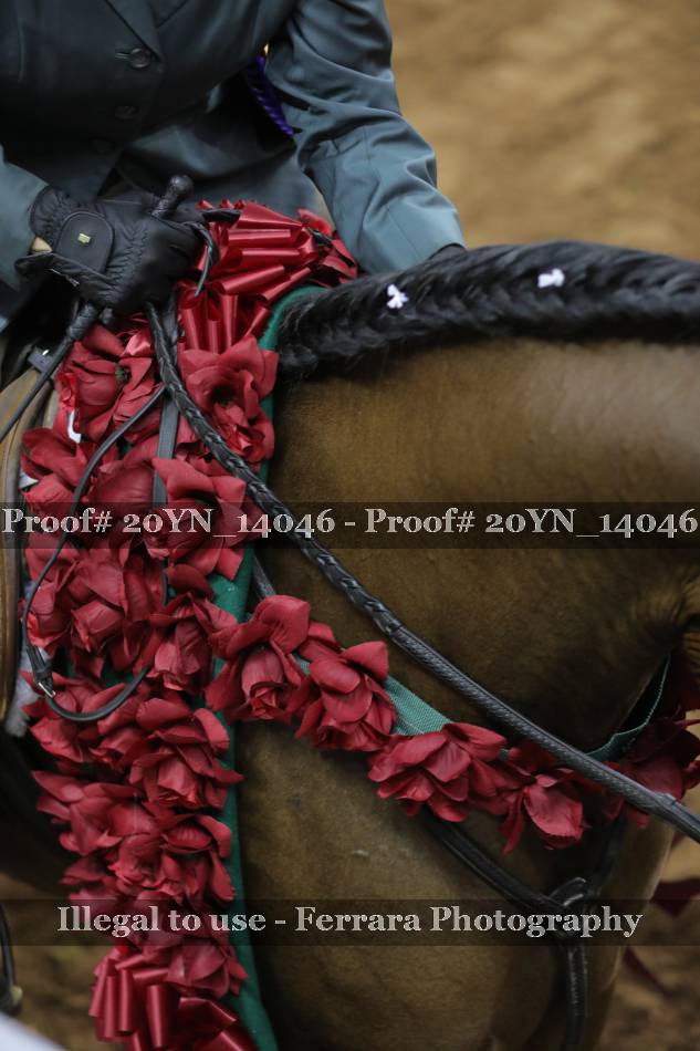 Proof 20YN_14046