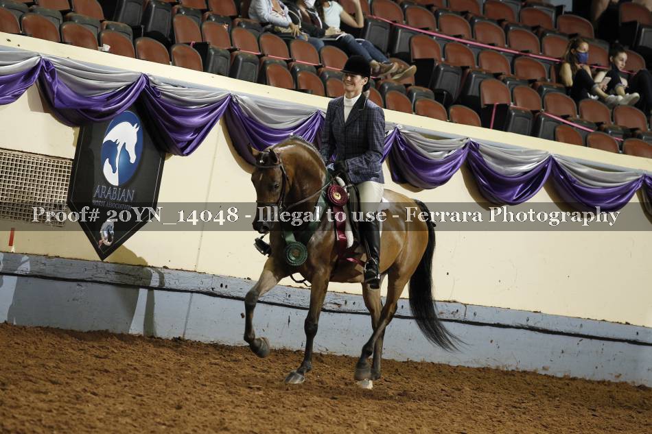Proof 20YN_14048