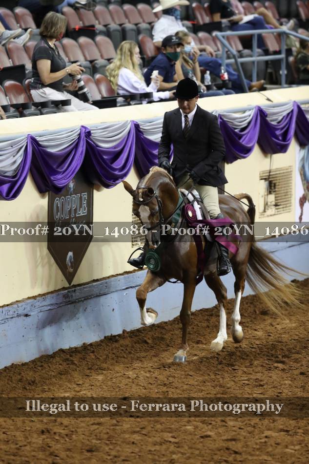 Proof 20YN_14086
