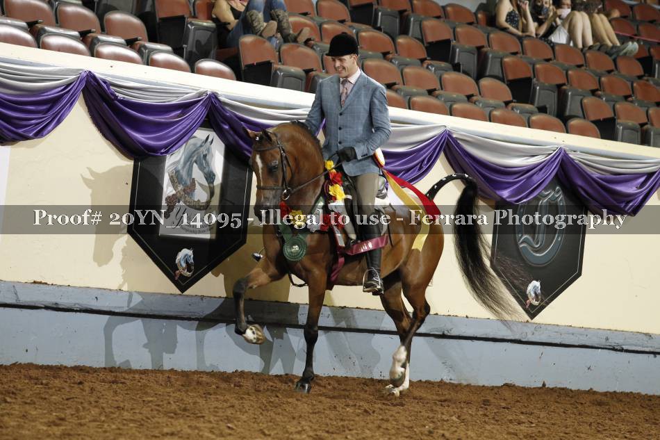 Proof 20YN_14095