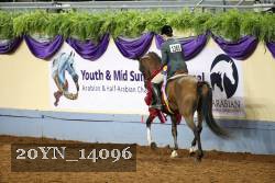 20YN_14096 proof